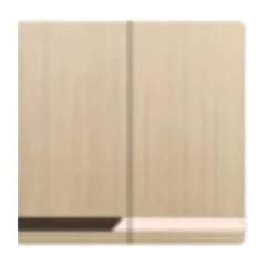 2-gang light switch, champagne