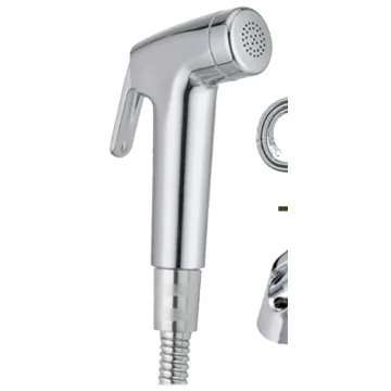 Hand sprayer with hose and holder