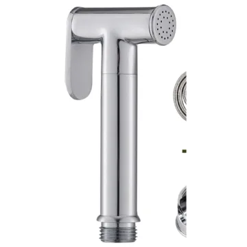Hand sprayer with hose and holder