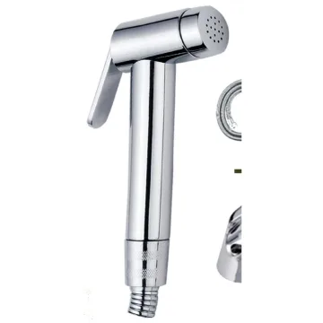 Hand sprayer with hose and holder