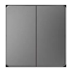 2-gang light switch, grey